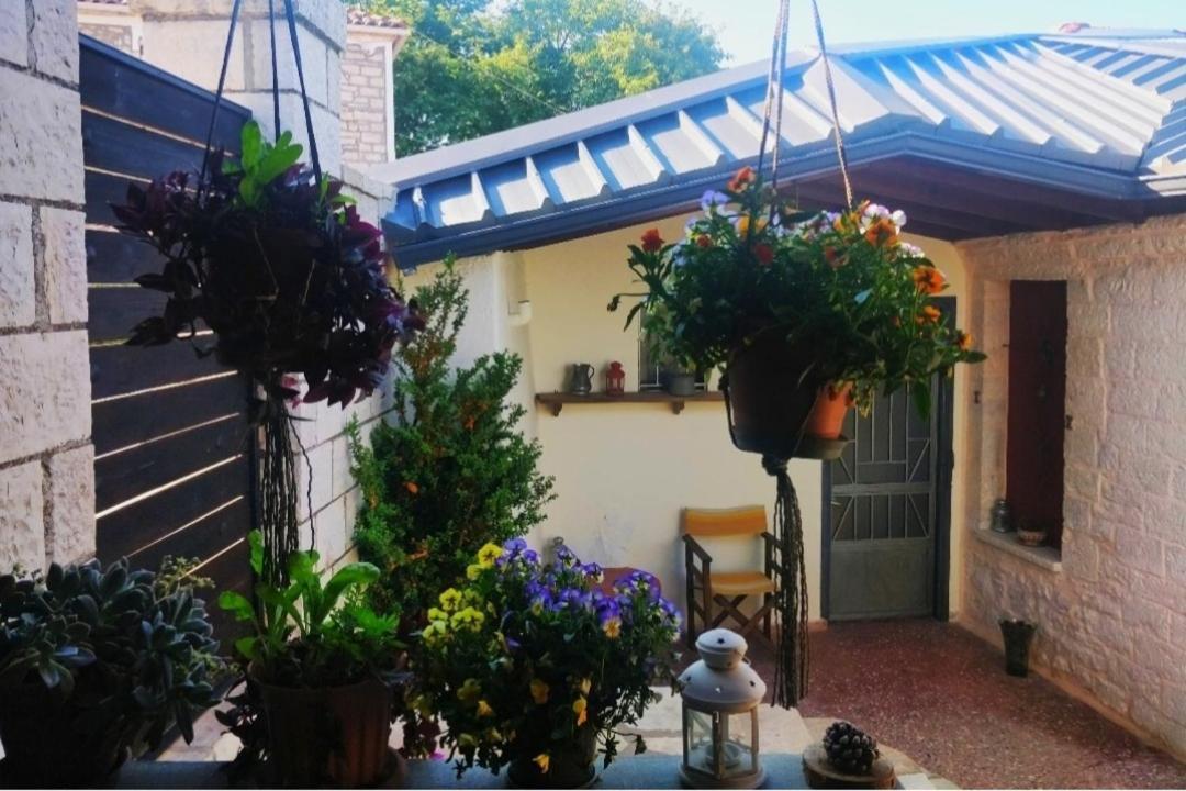 The Traditional Greek House Ioannina Buitenkant foto